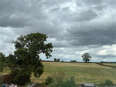 Picture 17